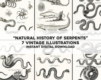 7 Very Old Illustrations from History of the Serpent | HQ Image Bundle Printable Wall Art | Instant Digital Download | Commercial use