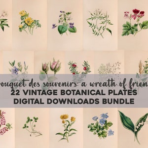 Kranz der Freundschaft Vintage Botanische Illustrationen druckbare Wand Kunst Bundle Digitaler Download Blumen Blumen Collage Kit Kommerzielle Nutzung