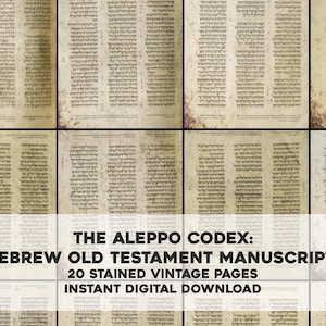 Könnte beinhalten: Eine Collage aus 20 alten Seiten des Aleppo-Kodex, einem hebräischen Manuskript des Alten Testaments. Die Seiten sind fleckig und haben ein abgenutztes, gealtertes Aussehen. Der Text ist in Hebräisch.