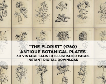 The Florist Ilustraciones botánicas en blanco y negro / 60 imágenes vintage manchadas Paquete de arte imprimible / Descarga digital instantánea Uso comercial