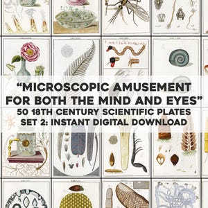 Pode incluir: Uma coleção de 50 ilustrações científicas antigas do século XVIII, com desenhos detalhados de vários espécimes. O texto diz "Microscopic Amusement for Both the Mind and Eyes". Conjunto 2: Download digital instantâneo.