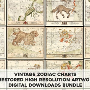 Astronomische Karten Sternzeichen Vintage Illustrationen | Astrologie Tarot Horoskop druckbare Wand Kunst Bundle Digital Download Kommerzielle Nutzung