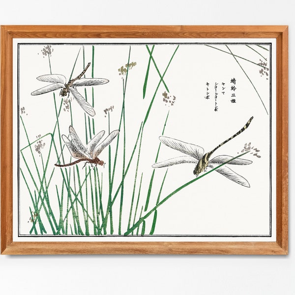 Dragonflies Japanese Woodblock Print | Single Printable Wall Art | Botanical Illustration Oriental Insect Butterfly Floral Digital Download