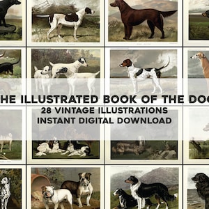 28 Precious Dog Full Color Illustrations | HQ Image Bundle Printable Wall Art | Instant Digital Download commercial use 1