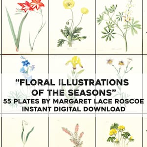 55 Floral of the Season Plants Botanical Illustrations | HQ Image Bundle Printable | Instant Digital Download | Physical Commercial Use