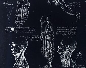 レオナルド ダ ヴィンチの解剖学スケッチ図 30 枚セット 3 ネガティブ