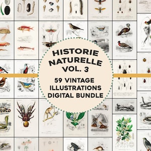 59 fantastische Pflanzen, Tiere, Insekten Illustrationen Historie Naturelle Platten Vintage druckbare Wand Kunst Bundle Digitaler Download Kommerzielle Nutzung