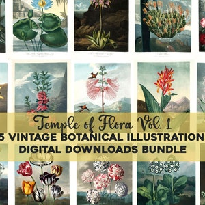Temple of Flora Vintage Botanische Illustrationen druckbare Wand Kunst Bundle Digital Download Tulpen Blumen Blumen Collage Kit Kommerzielle Nutzung
