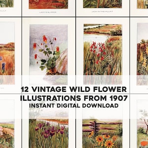 12 Illustrations mignonnes d'amis de fleurs Botanique Botanique | Image Bundle Art mural imprimable | Téléchargement numérique instantané | Utilisation commerciale 1
