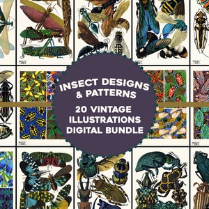 20 Insects Vintage Illustrations Wall Art Bundle Printable Download Design Butterflies Botanical Patterns Floral Scenery Bugs Luna Moth
