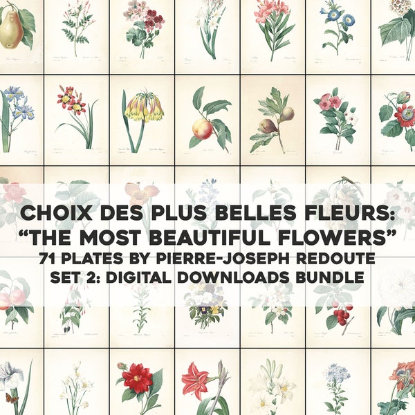 71 of the Most Beautiful Flowers Pierre Joseph Redoute | HQ Image Bundle Printable Wall Art | Instant Digital Download Commercial Use 2