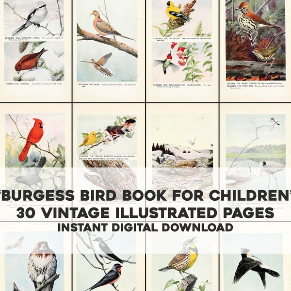 30 Pictures from Children's Book on Birds Plates Vintage Printable Wall Art Bundle Digital Instant Download Botanical Floral Commercial Use