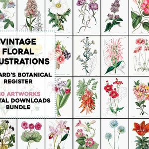 110 Beautiful Flower Botanical Illustration Plates Vintage Printable Wall Art Bundle Digital Instant Download Commercial Use