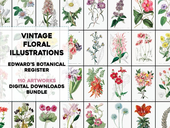 110 Beautiful Flower Botanical Illustration Plates Vintage | Etsy