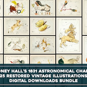 Astronomische grafieken Zodiac Signs Vintage illustraties | Astrologie afdrukbare Wall Art bundel | Sidney Hall digitale download commercieel gebruik