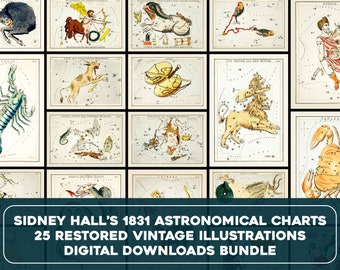 Astronomical Charts Zodiac Signs Vintage Illustrations | Astrology Printable Wall Art Bundle | Sidney Hall Digital Download Commercial Use