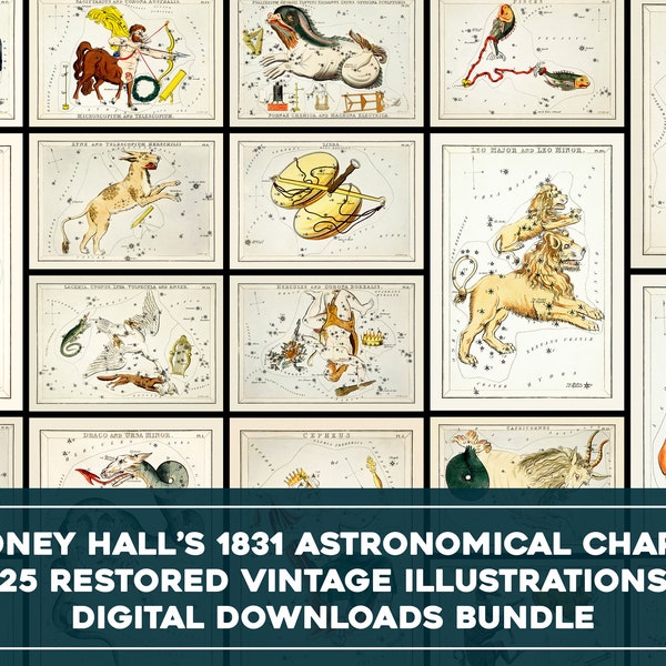 Astronomical Charts Zodiac Signs Vintage Illustrations | Astrology Printable Wall Art Bundle | Sidney Hall Digital Download Commercial Use