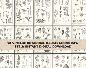 May include: A set of 98 vintage botanical illustrations in black and white. The illustrations are of various plants and flowers, and are arranged in a grid pattern. The text "98 Vintage Botanical Illustrations B&W Set 2: Instant Digital Download" is displayed at the bottom of the image.