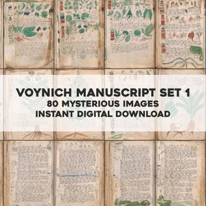 May include: A collection of aged manuscript pages with botanical illustrations and handwritten text. The image features the text "Voynich Manuscript Set 1" and "80 Mysterious Images Instant Digital Download."
