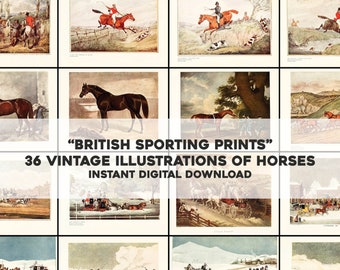 Könnte beinhalten: Eine Collage aus 36 Vintage-Illustrationen von Pferden in verschiedenen Sportszenen. Die Illustrationen sind im traditionellen Stil gehalten und zeigen Pferde in Aktion, darunter Rennen, Jagd und Kutschenfahren. "British Sporting Prints" und "36 Vintage Illustrations of Horses Instant Digital Download" sind in der Mitte der Collage geschrieben.