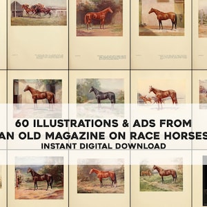 60 vintage Horse Equestrian Illustrations & Ads Bundle Printable Wall Art Digital Download | Races de concours d'équitation équestre