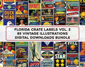 Peut inclure: Une collection d'étiquettes de caisses vintage de Floride, avec des illustrations colorées d'agrumes, de légumes et d'autres produits. Les étiquettes incluent du texte tel que "Duck Head", "Favorite" et "Golden Apples". L'image comprend également le texte "Florida Crate Labels Vol. 2" et "85 Vintage Illustrations Digital Downloads Bundle".