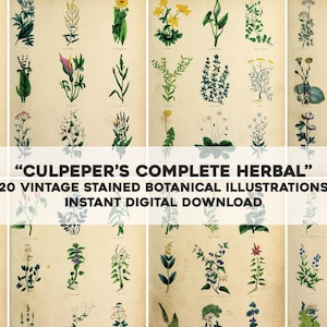 Culpepers Stained Complete Herbal Medicinal Botanical Illustrations | HQ Image Bundle | Instant Digital Download Commercial Use