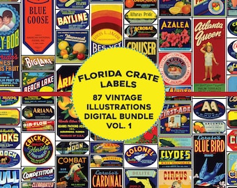 Peut inclure: Une collection de 87 étiquettes de caisse vintage de Floride, avec des illustrations colorées de fruits, de légumes et d'autres motifs. Les étiquettes sont disposées en grille sur un fond jaune avec le texte "Florida Crate Labels 87 Vintage Illustrations Digital Bundle Vol. 1".