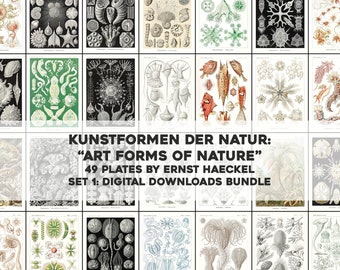 49 Forms of Nature Ernst Haeckel Illustrations | HQ Image Bundle Printable Wall Art Bundle | Instant Download Commercial Use 1