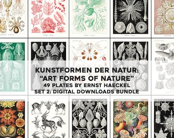 49 Forms of Nature Ernst Haeckel Illustrations | HQ Image Bundle Printable Wall Art Bundle | Instant Download Commercial Use 2