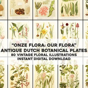 80 Ilustrações botânicas de plantas florais | Pacote de imagens vintage em papel manchado | Download digital instantâneo Uso comercial