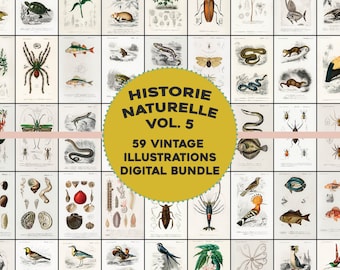 May include: A collage of 59 vintage illustrations of various animals and insects. The illustrations are in black and white and have a scientific feel. The title "HISTOIRE NATURELLE VOL. 5 59 VINTAGE ILLUSTRATIONS DIGITAL BUNDLE" is in a yellow circle in the center of the image.