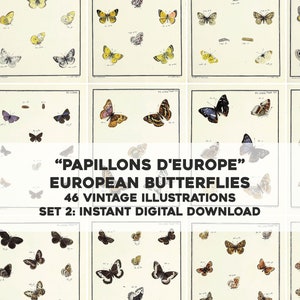 Ensemble de 2 papillons européens, 46 images | lot d'images restaurées vintage | Nature florale botanique | Téléchargement numérique instantané Utilisation commerciale