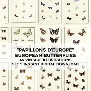 Farfalle europee Set 1 46 immagini / Pacchetto di immagini restaurate vintage / Natura floreale botanica / Download digitale istantaneo Uso commerciale