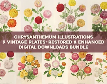 DIYthinker Yellow Chrysanthemum Flower Plant Desktop Display Photo Frame Picture Art Painting 5x7 inch DIYthinker Yellow Chrysanthemum Flower Plant Desktop Display Photo Frame Picture Art Painting 5x7 inch