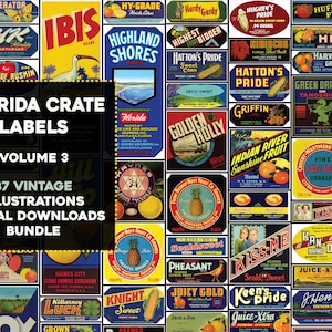 Puede incluir: Una colección de 87 etiquetas de caja vintage de Florida, con ilustraciones coloridas de frutas, verduras y otros productos agrícolas. Las etiquetas están dispuestas en una cuadrícula y incluyen texto como "Florida Crate Labels", "Volumen 3" y "87 Ilustraciones Vintage".