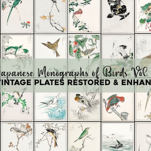 Japanische Vogel Illustrationen Druckbare Wand Kunst Bundle Vintage Antik Asiatische Monographien Holzschnitte Botanisch Digitaler Download Kommerzielle Nutzung
