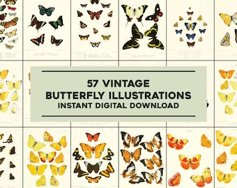 May include: A digital download of 57 vintage butterfly illustrations. The butterflies are depicted in various colors and patterns, including yellow, orange, red, blue, green, and black.