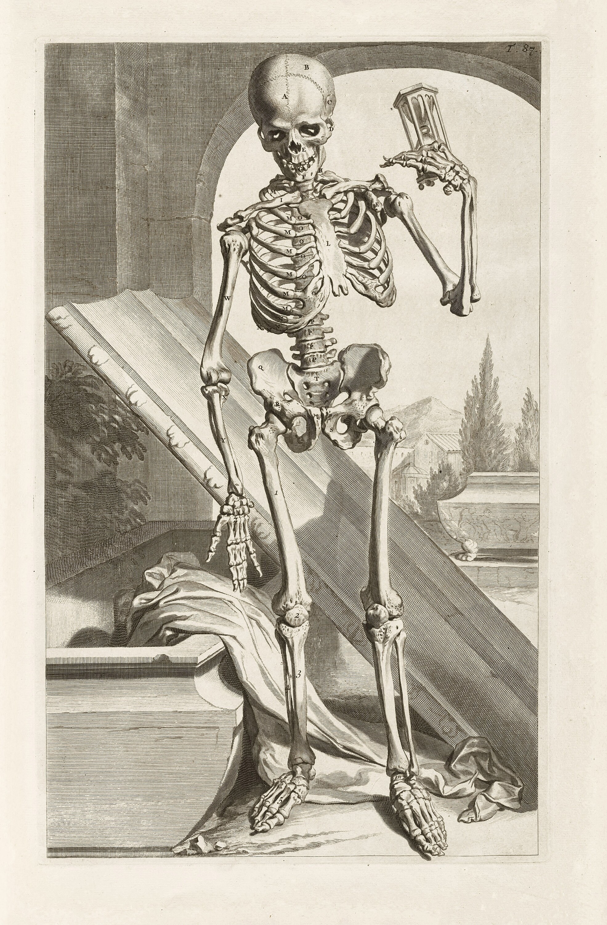37 Amazing Anatomy of the Human Body After Life Illustrations | Image ...