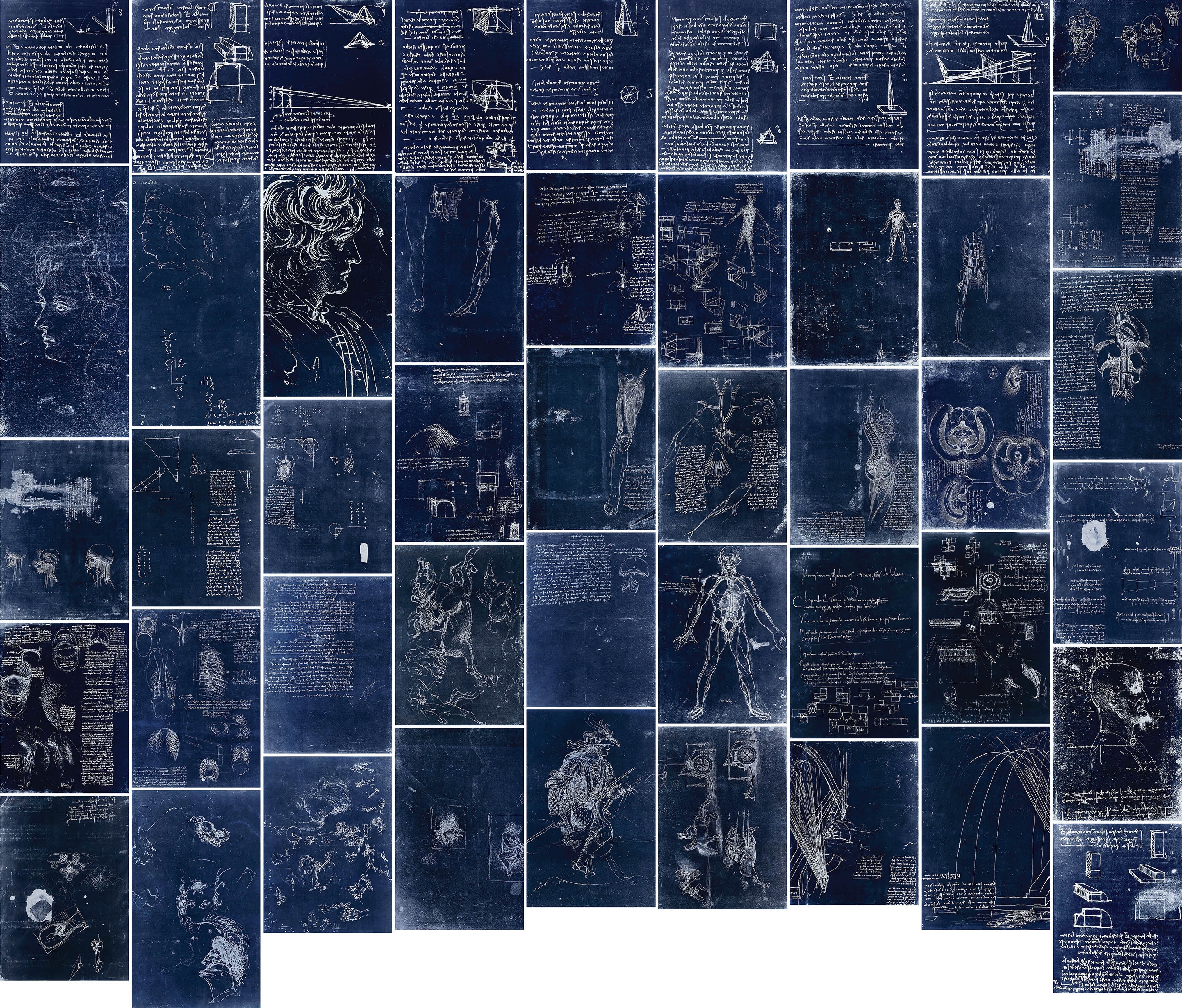 93 レオナルド ダ ヴィンチ スケッチ ノート 図表 ネガ セット 2