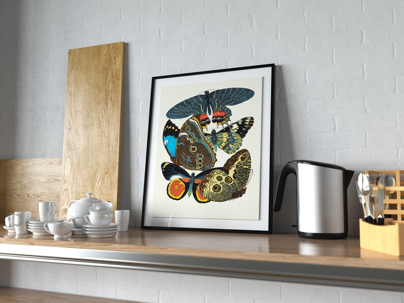 May include: A framed print of a vintage illustration featuring five colorful butterflies with intricate patterns and details. The butterflies are arranged in a cluster, with their wings overlapping. The print is set against a white background and framed in black.
