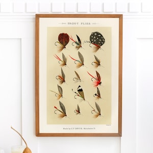 Trout Flies Vintage Fishing Digital Poster favorite Flies and Their  Histories by Mary Orvis Marbury. Gift for Dad Man Fisherman Cabin 