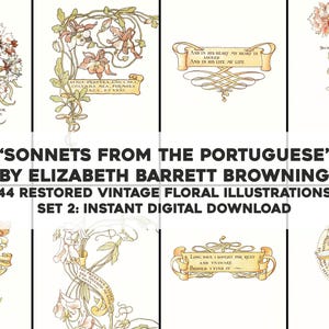44 schöne portugiesische Verzierungsseiten | Restaurierte Vintage Bilder Bündel | Sofortiger digitaler Download für kommerzielle Nutzung