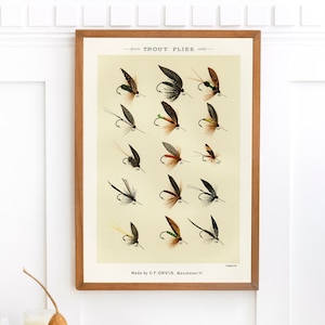 Mary Orvis Trout Flies 5 | Single Printable Wall Art | Large High Quality Vintage Fly Fishing Dry Flies Commercial Use Digital Download