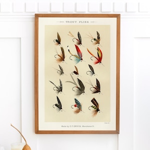 Mary Orvis Trout Flies 1 | Single Printable Wall Art | Large High Quality Vintage Fly Fishing Dry Flies Commercial Use Digital Download