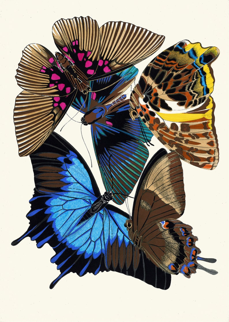 May include: Four butterflies with intricate wing patterns. The butterflies are in various shades of brown, blue, green, yellow, and pink. The butterflies are arranged in a cluster, with their wings overlapping.