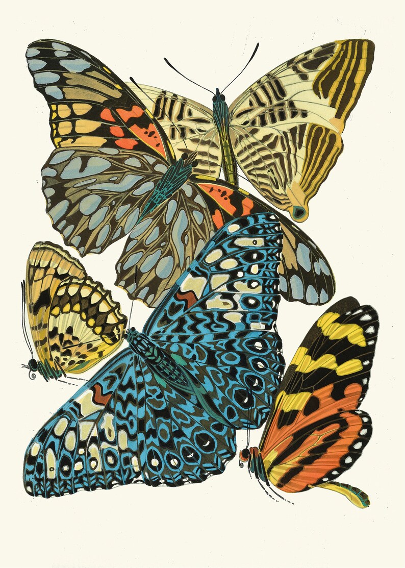 May include: Four butterflies with intricate patterns and vibrant colors. The butterflies are arranged in a cluster, with their wings overlapping. The colors include blue, green, yellow, orange, red, and black.