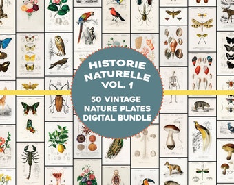 May include: A collage of 50 vintage nature plates, featuring illustrations of animals, plants, and insects. The title "HISTOIRE NATURELLE VOL. 1" is displayed in a circle with the text "50 VINTAGE NATURE PLATES DIGITAL BUNDLE".