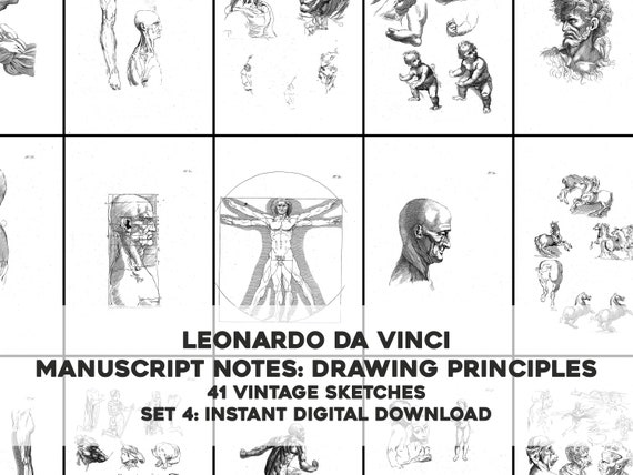 41 レオナルド ダ ヴィンチの原稿のスケッチ図セット 4 | 画像バンドル