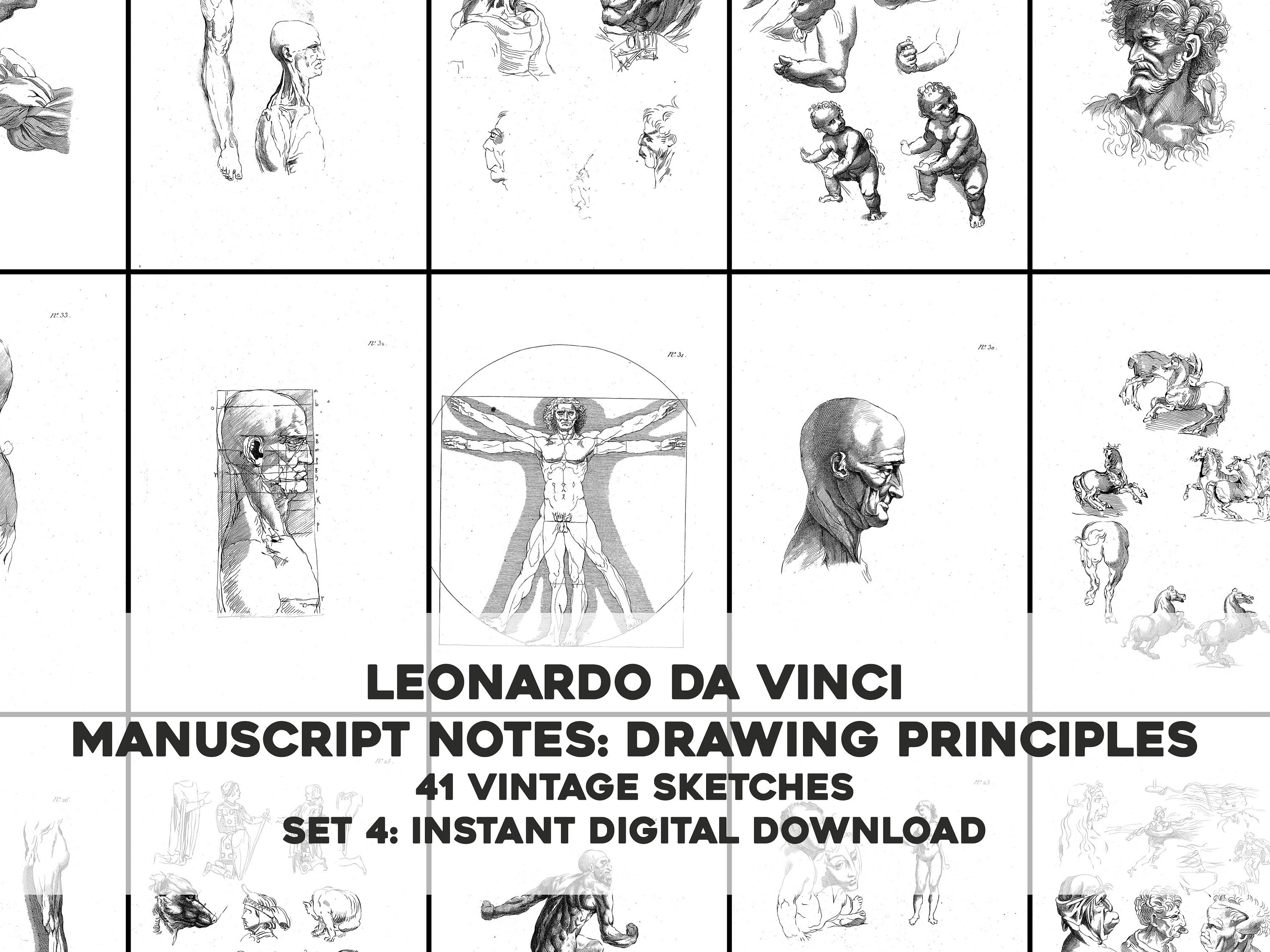 41 レオナルド ダ ヴィンチの原稿のスケッチ図セット 4 | 画像バンドル